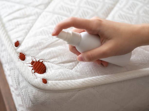 Best Commercial Pest Control Services  in Brookshire, TX