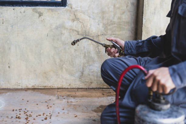  Brookshire, TX Pest Control Pros
